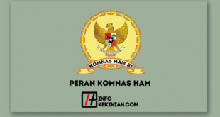 Peran Komnas HAM