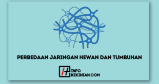 Perbedaan Jaringan Hewan dan Tumbuhan