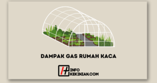 Dampak Gas Rumah Kaca