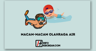 Macam-macam Olahraga Air