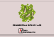 Pengertian Polusi Air