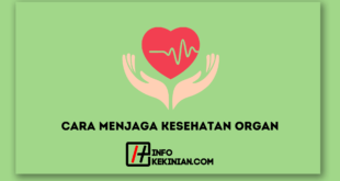 Cara Menjaga Kesehatan Organ