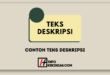 Contoh Teks Deskripsi