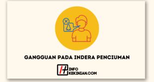 Gangguan pada Indera Penciuman