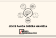 Jenis Panca Indera Manusia