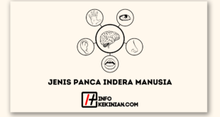 Jenis Panca Indera Manusia