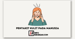 Penyakit Kulit pada Manusia