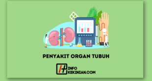 Penyakit Organ Tubuh