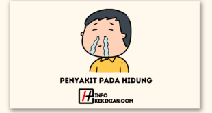 Penyakit pada Hidung