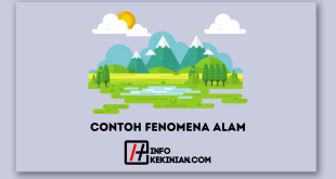 Contoh Fenomena Alam