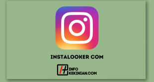 InstaLooker Com