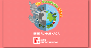 Apa Itu Efek Rumah Kaca _ Dampak dan Penyebabnya Terhadap Perubahan Iklim Global yang Wajib Diketahui!