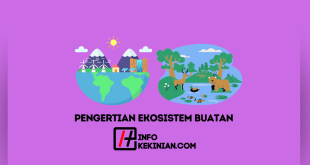 Pengertian Ekosistem Buatan Manfaat dan Contohnya yang Wajib di Ketahui