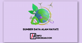 Sumber Daya Alam Hayati_ Pentingnya Keanekaragaman Hayati