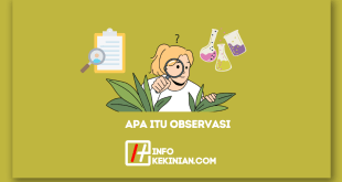 Apa Itu Observasi_ Tujuan, Jenis, dan Contoh yang Wajib Diketahui!