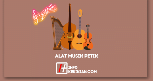 Contoh Alat Musik Petik yang Wajib Diketahui!