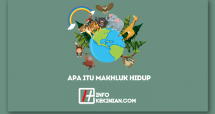 Apa itu Makhluk Hidup_ Ciri-Ciri, Fungsi, dan Contohnya yang Wajib Diketahui!