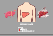 Organ Hati_ Bagian dan Fungsi Penting dalam Tubuh Manusia Wajib Diketahui!
