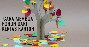 Cara Membuat Pohon dari Kertas Karton