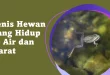 Jenis Hewan yang Hidup di Air dan Darat 46 Jenis Hewan yang Hidup di Air dan Darat