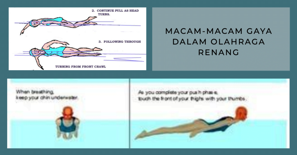 Macam-Macam Gaya dalam Olahraga Renang