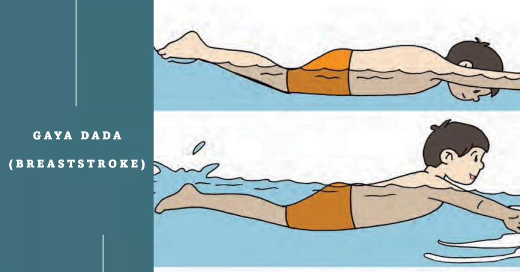 Gaya Dada (Breaststroke)