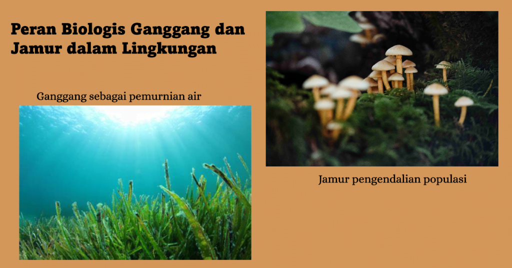 Peran Biologis Ganggang dan Jamur dalam Lingkungan