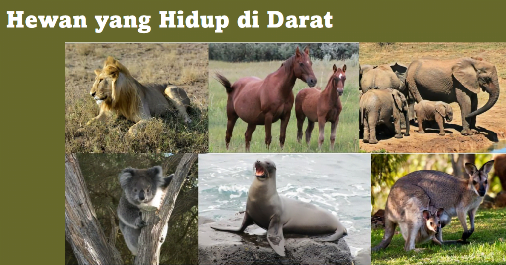 Hewan yang Hidup di Darat