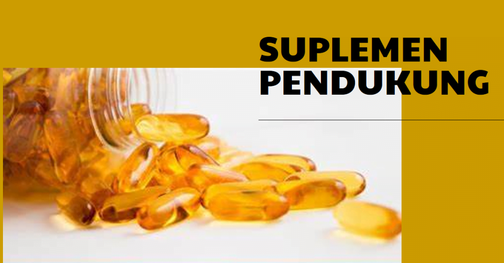 Suplemen Pendukung