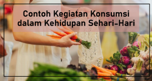 Contoh Kegiatan Konsumsi dalam Kehidupan Sehari-Hari