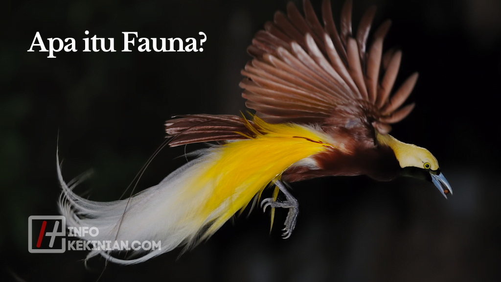 Apa itu Fauna