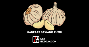 Ini Dia, Manfaat Bawang Putih untuk Kesehatan Tubuh, Penting Kamu Ketahui!