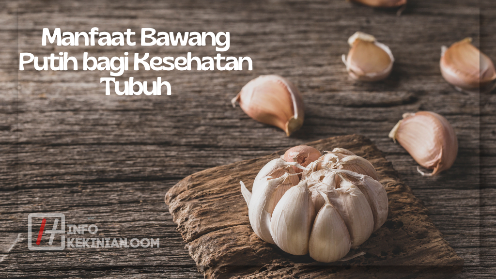 Manfaat Bawang Putih bagi Kesehatan Tubuh