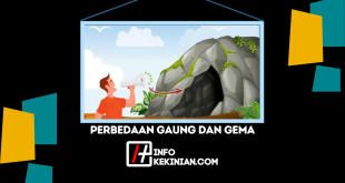 Memahami Perbedaan Gaung dan Gema Beserta Faktor-Faktor yang Memengaruhinya, Wajib Diketahui!