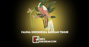 Ragam Fauna Indonesia Bagian Timur Karakteristik dan Contohnya yang Penting Kamu Ketahui!