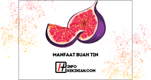 Manfaat Buah Tin untuk Kesehatan 