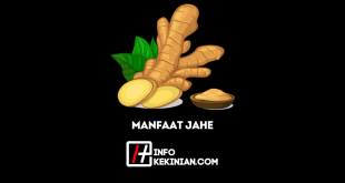 Manfaat Jahe untuk Kesehatan yang Jarang Diketahui!