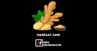 Manfaat Jahe untuk Kesehatan yang Jarang Diketahui!