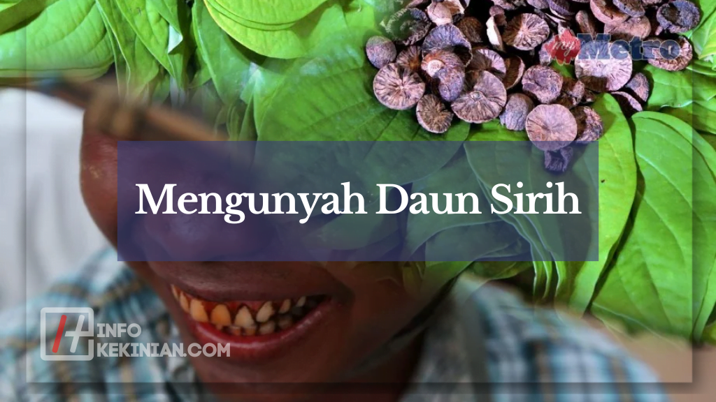 Mengunyah Daun Sirih