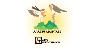 Apa Itu Adaptasi Proses, Jenis-Jenis serta Peran Pentingnya dalam Aspek Kehidupan