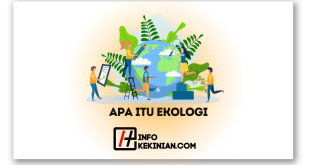 Apa Itu Ekologi Konsep, Contoh, Dampak serta Pemahaman Pentingnya dalam Kehidupan