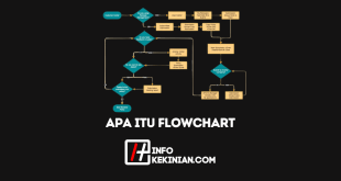 Apa Itu Flowchart Fungsi, Jenis-Jenis, serta Kelebihannya