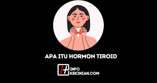 Apa Itu Hormon Tiroid Fungsi, Peran, serta Gejala Gangguan pada Kesehatan