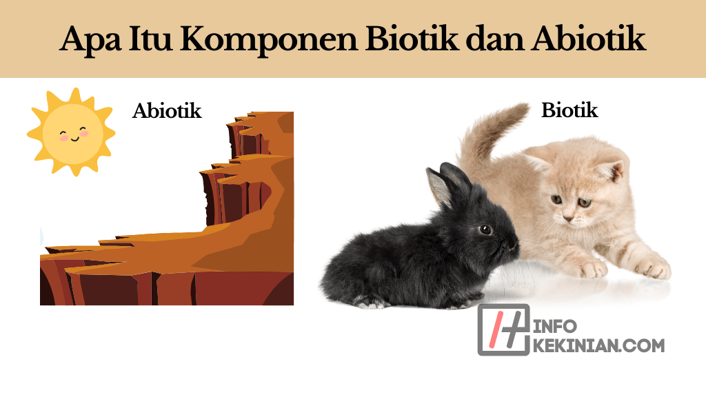 Apa Itu Komponen Biotik dan Abiotik
