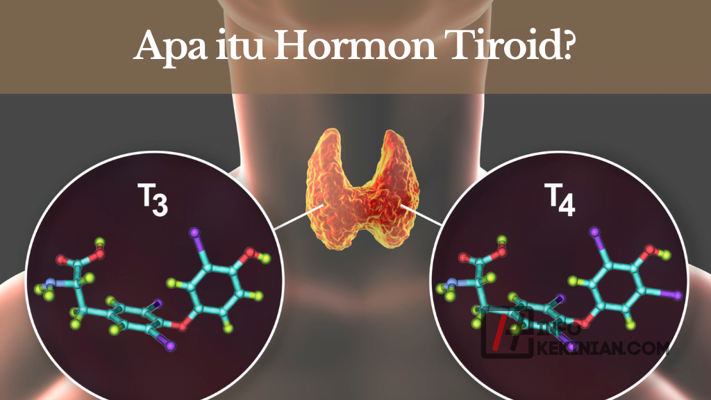 Apa itu Hormon Tiroid