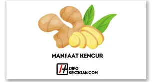 Ini Manfaat Kencur untuk Kesehatan Tubuh