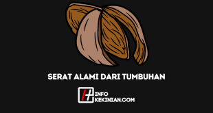 Jenis Serat Alami Dari Tumbuhan, Keunggulan dan Keterbatasannya!