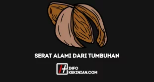 Jenis Serat Alami Dari Tumbuhan, Keunggulan dan Keterbatasannya!