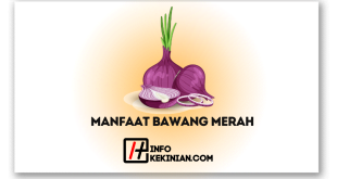 Manfaat Bawang Merah untuk Kesehatan, Wajib Diketahui!