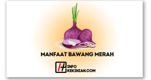 Manfaat Bawang Merah untuk Kesehatan, Wajib Diketahui!
